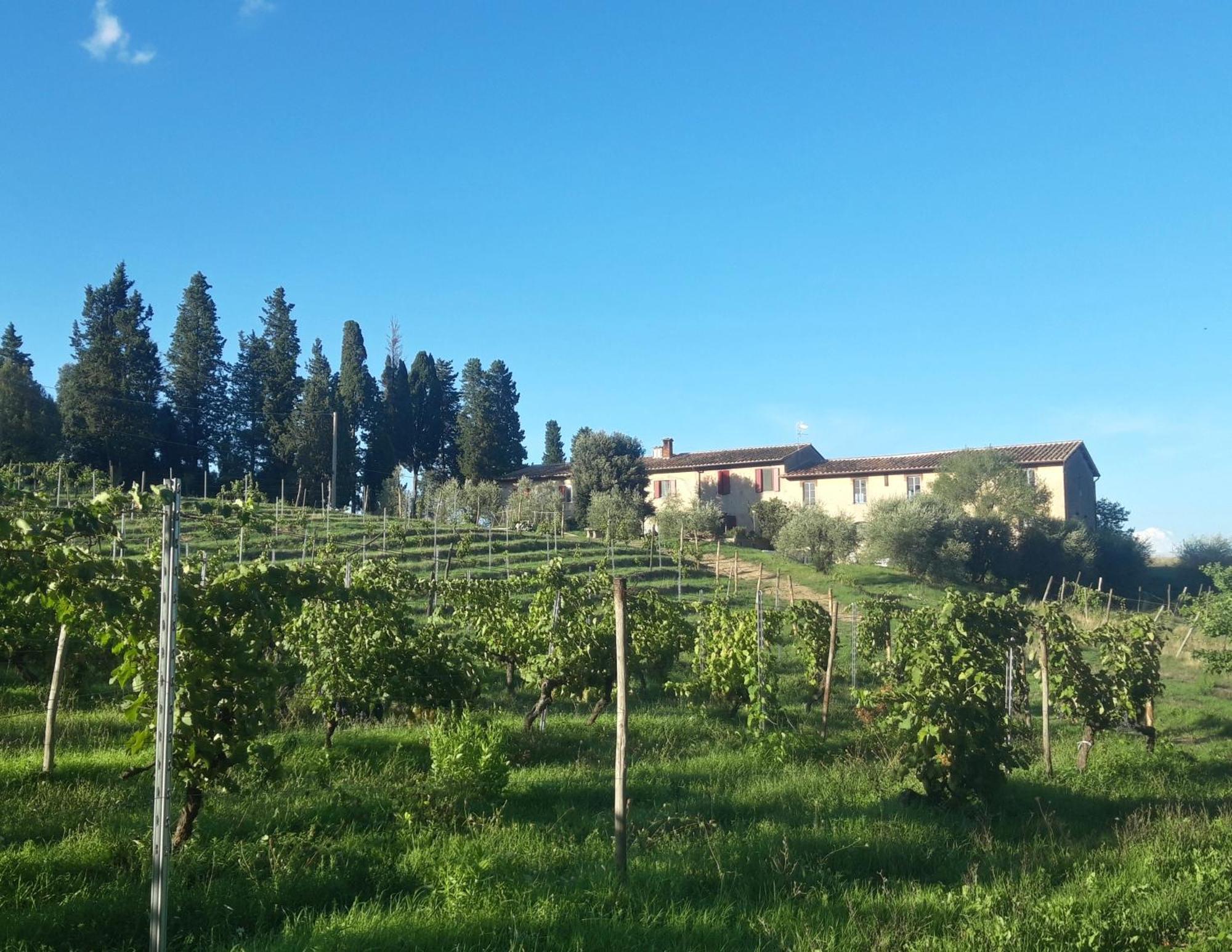 Agriturismo Fattoria Le Caprine Gambassi Terme Exterior foto